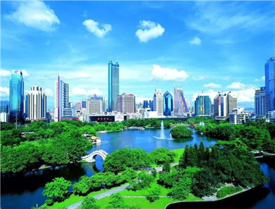  尽显风华，展示专业 